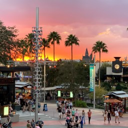 Solo Dining – Big Fire Steakhouse